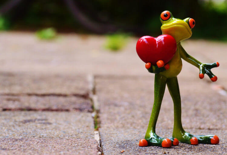 Frosch-750×515